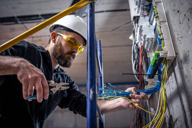 Best Electric Panel Repair  in Clarion, IA