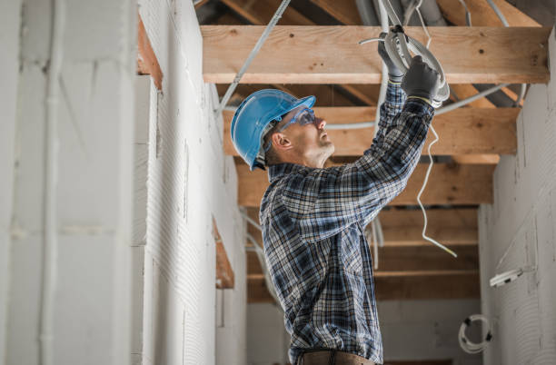 Best Local Electrician Companies  in Clarion, IA